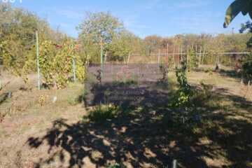 Ведение садоводства, 6 сот.